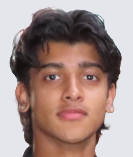 Alfred Aji